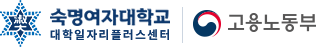 숙명여자대학교 대학일자리플러스센터 지역청년취업지원시스템